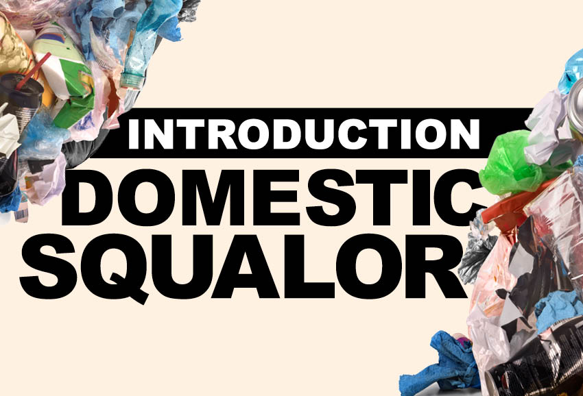 INTRO TO DOMESTIC SQUALOR – 20 NOVEMBER 2024