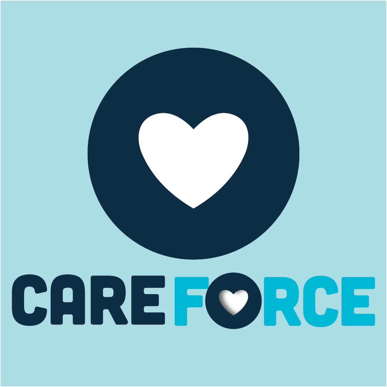 CareForce Job Seeker Online Information Session