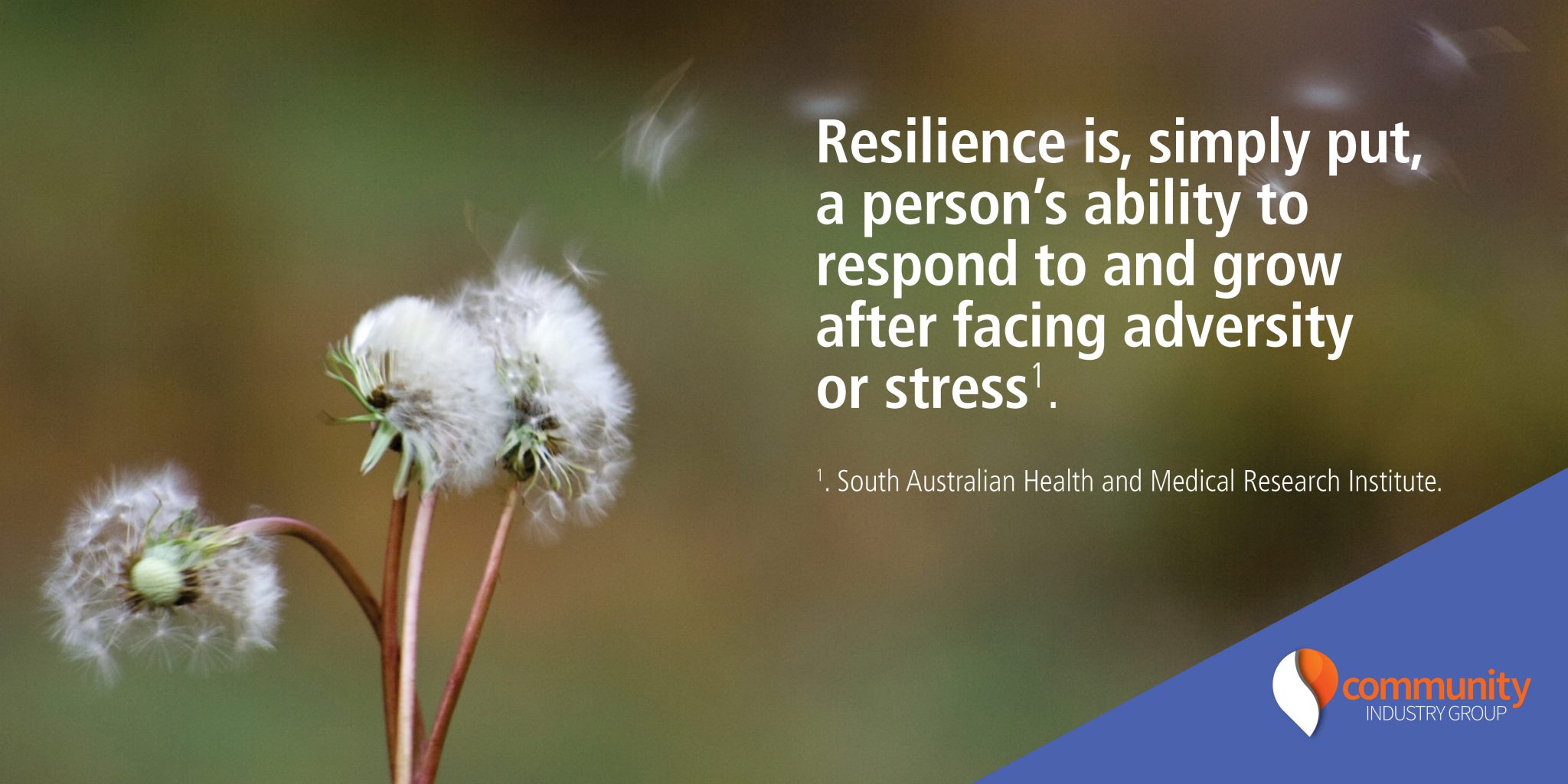 what-is-resilience-and-why-is-it-important-to-bounce-back